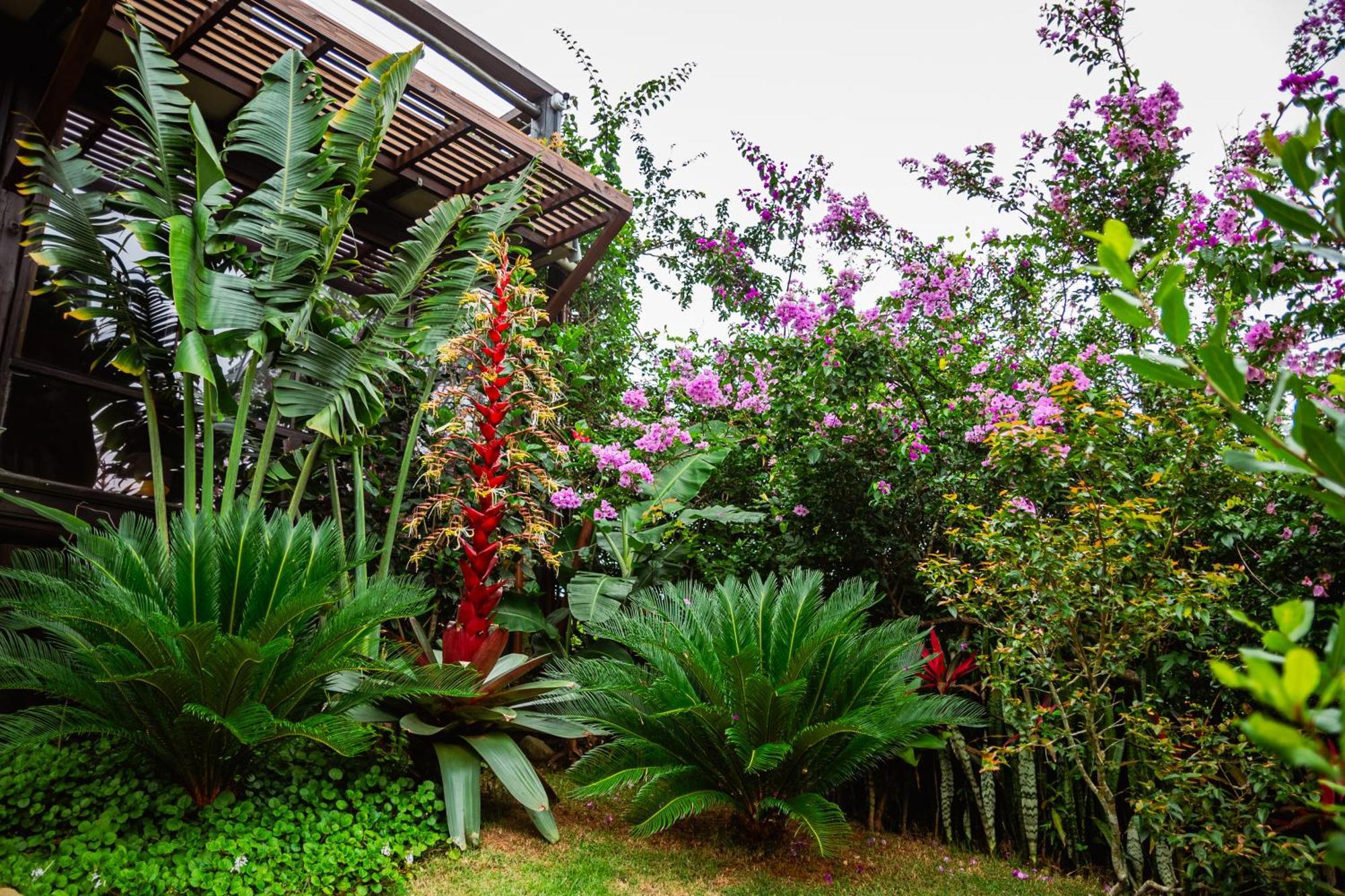 Ibiraquera Life Villa Прайя-ду-Роза Екстериор снимка